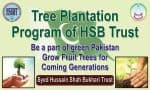 Tree Plantation Program